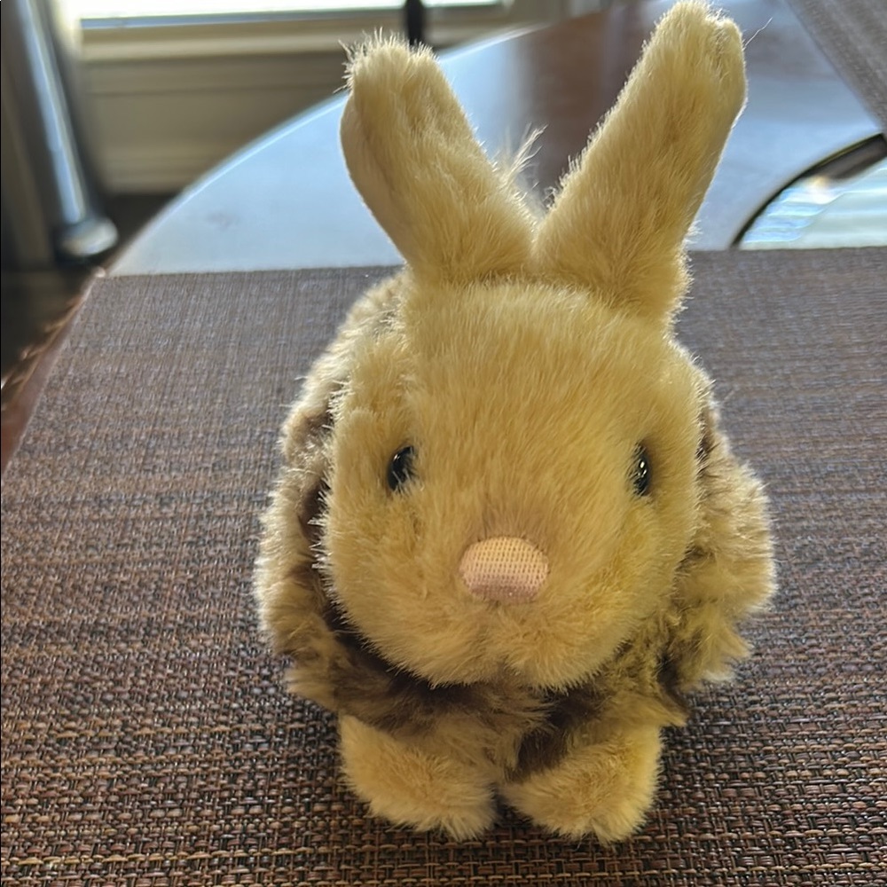 Plush Bunny 🐰 Rabbit